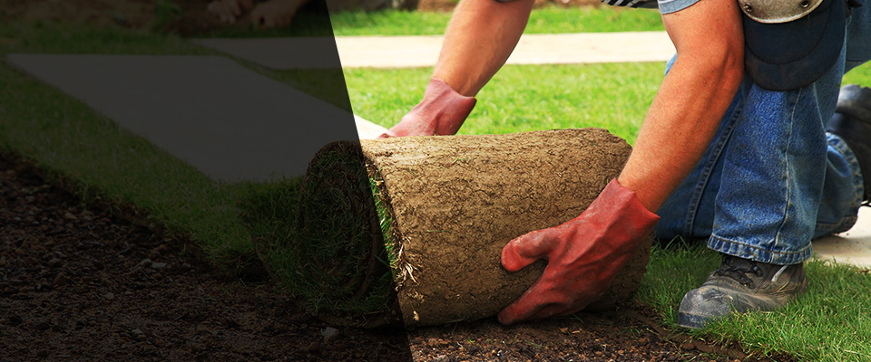 Eastland Landscapers